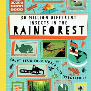 30 million different insects in the rainforest inglés divertido