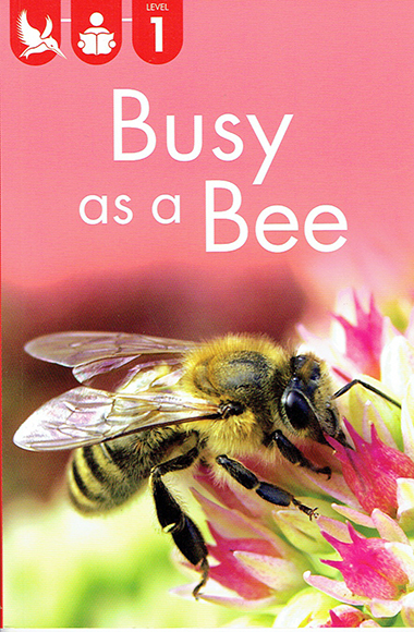 busy-as-a-bee-level-1-ingles-divertido