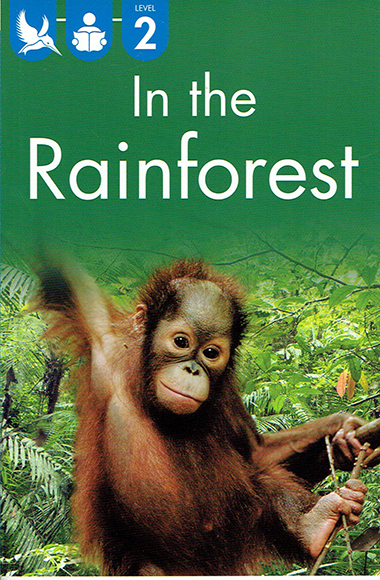 in-the-rainforest-level-2-ingles-divertido