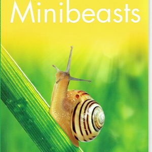 minibeasts-level-3-ingles-divertido