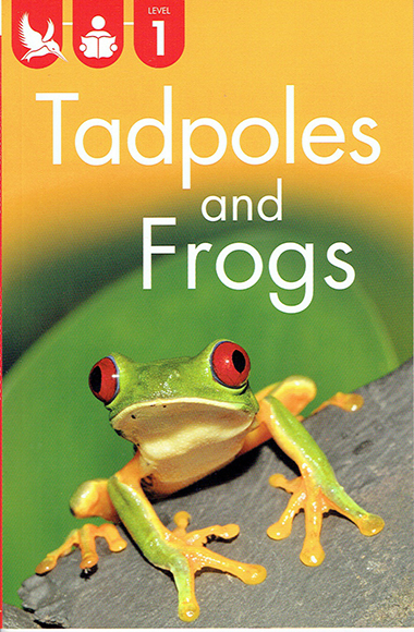 tadpoles-and-frogs-level-1-ingles-divertido