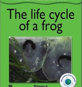 the-life-cycle-of-a-frog-ingles-divertido
