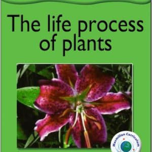 the-life-process-of-plants-ingles-divertido