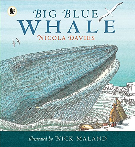 big-blue-whale-ingles-divertido