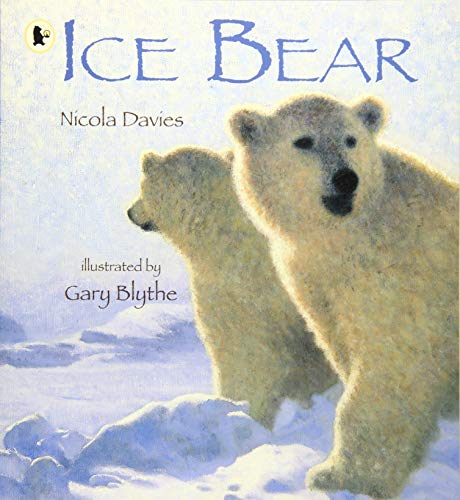 ice-bear-ingles-divertido