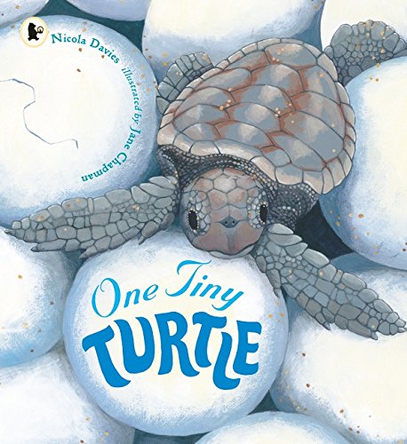 one-tiny-turtle-ingles-divertido