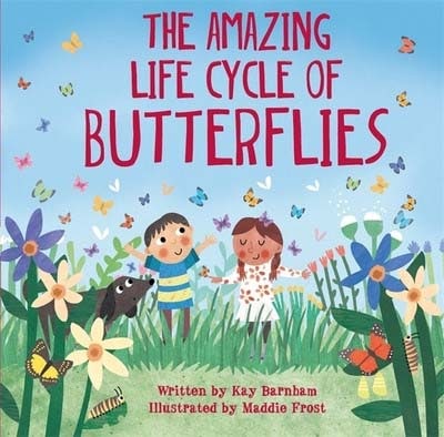 the-amazing-life-cycle-of butterflies-ingles-divertido