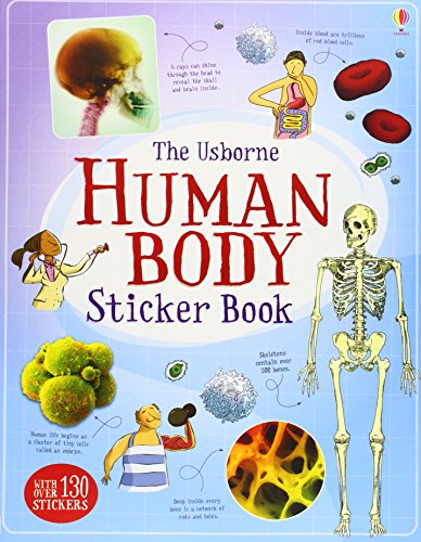 the-usborne-human-body-sticker-book-ingles-divertido