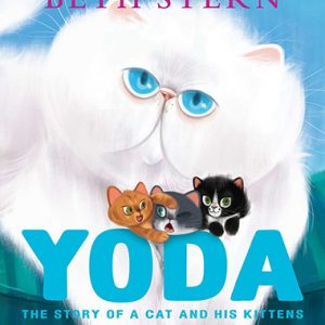 yoda-the-story-of-a-cat-and-his-kittens-ingles-divertido