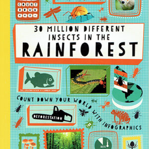 30 Million Different Insects in the Rainforest