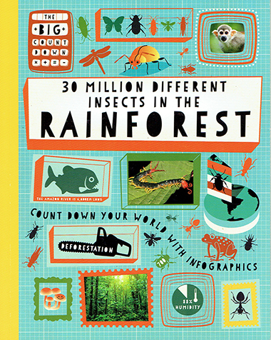 30 Million Different Insects in the Rainforest