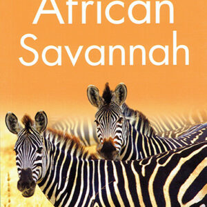 African Savannah - Level 2 - Kingfisher Readers