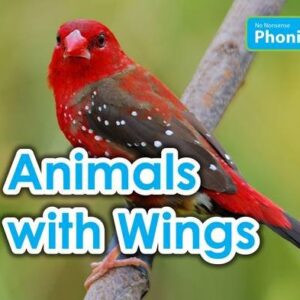 Animals with Wings