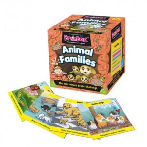 Brainbox Animal Families