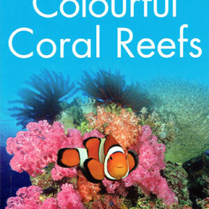 Colourful Coral Reefs - Level 1 - Kingfisher Readers