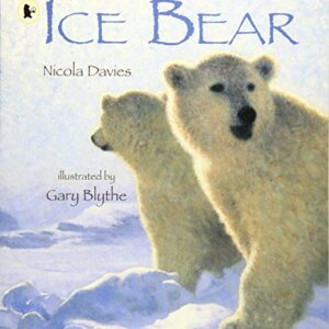 Ice Bear