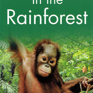 In the Rainforest - Level 2 - Kingfisher Readers