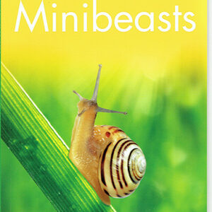 Minibeasts - Level 3 - Kingfisher Readers