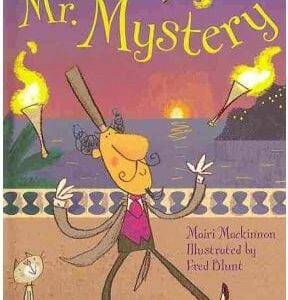 Mr. Mystery - Usborne V. F. R. Book 15