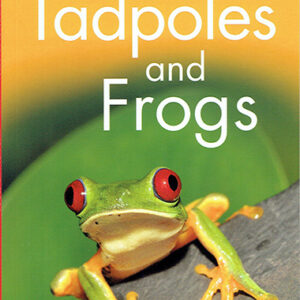 Tadpoles and Frogs - Level 1 - Kingfisher Readers