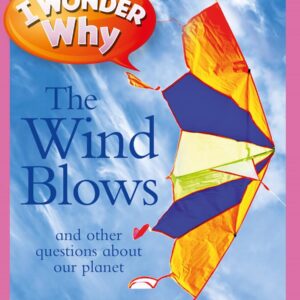 The Wind Blows - I Wonder Why