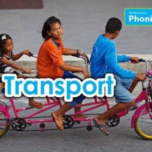 Transport