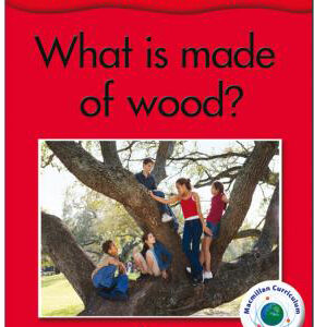 What is made of wood? - Primary 1